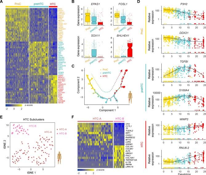 https://cdn.ncbi.nlm.nih.gov/pmc/blobs/dda2/6317448/460c96e8df5e/annrheumdis-2017-212863f04.jpg