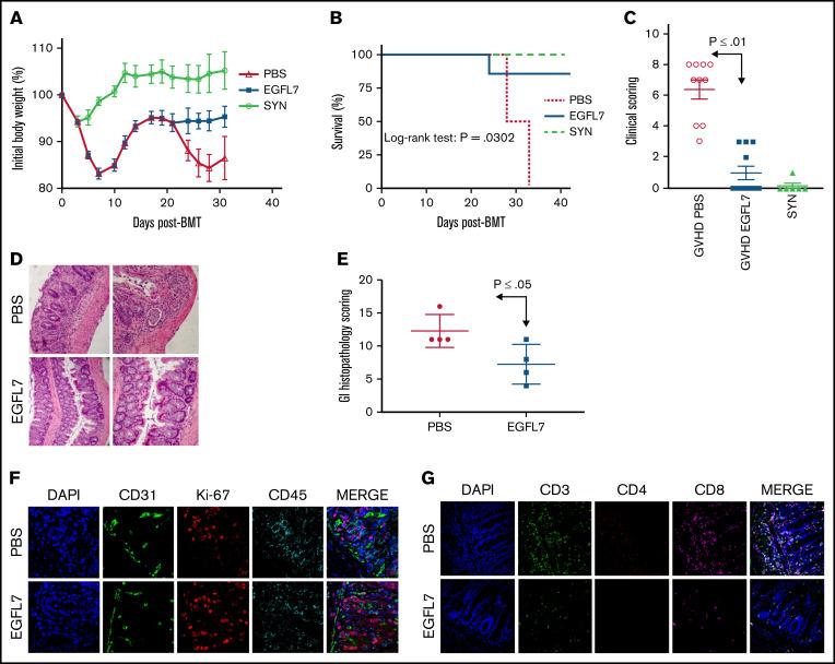 https://cdn.ncbi.nlm.nih.gov/pmc/blobs/dda2/9006300/fa67813b059b/advancesADV2021005498f1.jpg