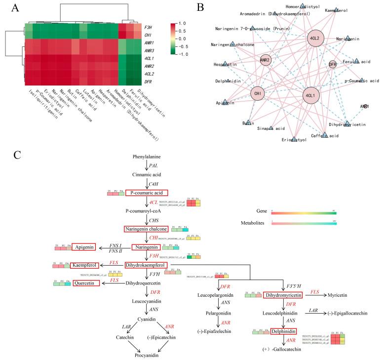 https://cdn.ncbi.nlm.nih.gov/pmc/blobs/dda3/11593580/c01abefd3896/ijms-25-11903-g008.jpg