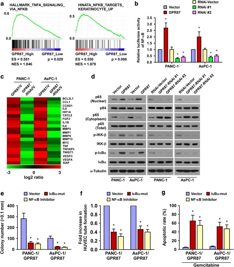 https://cdn.ncbi.nlm.nih.gov/pmc/blobs/dda4/5348802/0a92c0f63719/12943_2017_627_Fig5_HTML.jpg