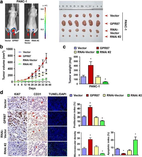 https://cdn.ncbi.nlm.nih.gov/pmc/blobs/dda4/5348802/6ce49eb02176/12943_2017_627_Fig4_HTML.jpg