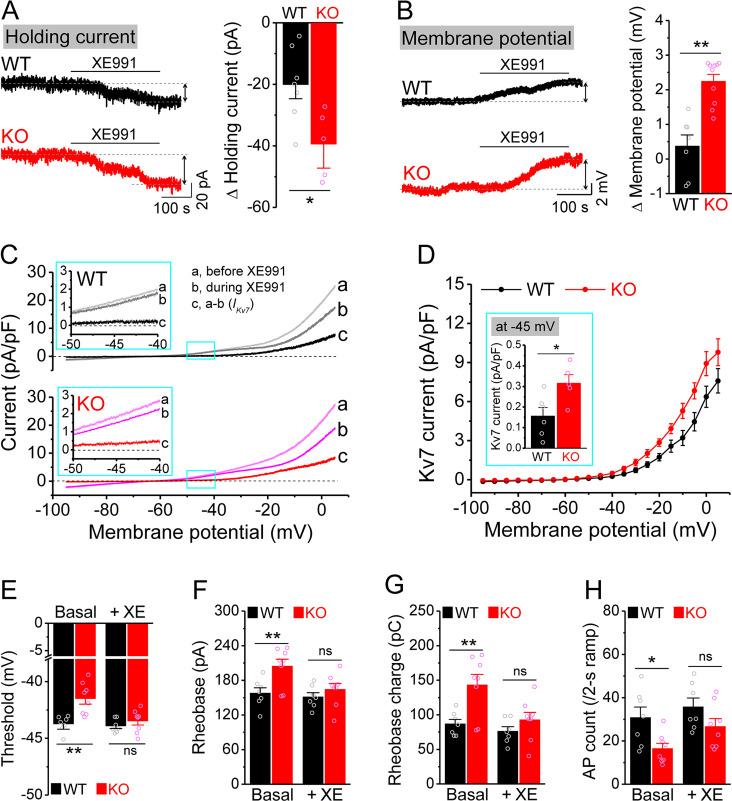 https://cdn.ncbi.nlm.nih.gov/pmc/blobs/dda7/10942577/46460bdaa895/elife-92563-fig3.jpg