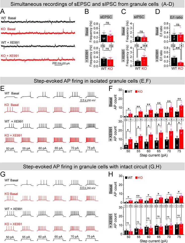 https://cdn.ncbi.nlm.nih.gov/pmc/blobs/dda7/10942577/6b86c80aa05b/elife-92563-fig7.jpg