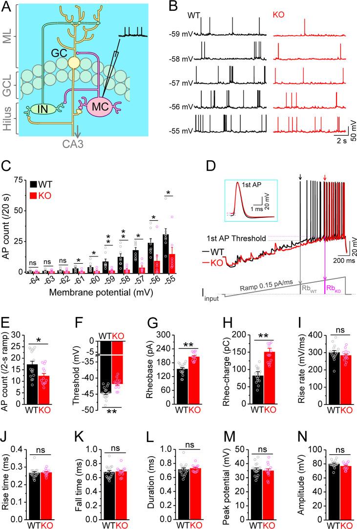 https://cdn.ncbi.nlm.nih.gov/pmc/blobs/dda7/10942577/a400a5743863/elife-92563-fig1.jpg