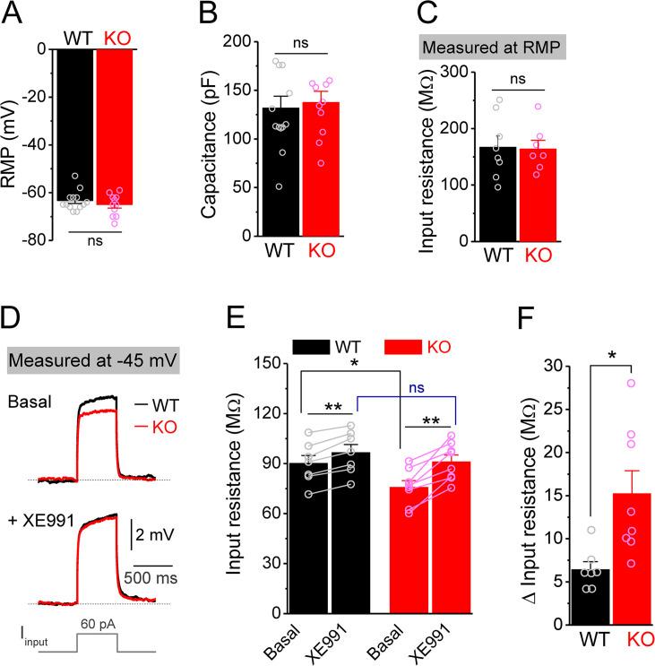 https://cdn.ncbi.nlm.nih.gov/pmc/blobs/dda7/10942577/a55bcc43f892/elife-92563-fig2.jpg