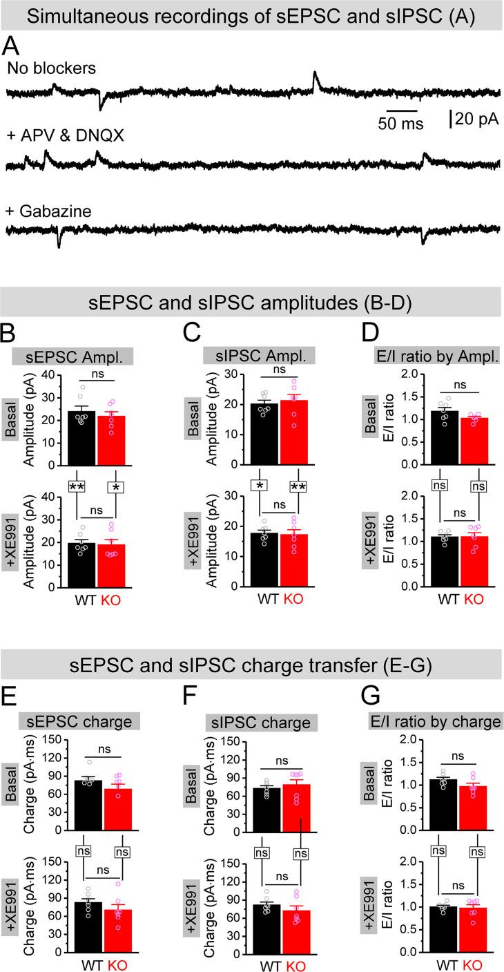 https://cdn.ncbi.nlm.nih.gov/pmc/blobs/dda7/10942577/b20b62228c6e/elife-92563-fig7-figsupp1.jpg