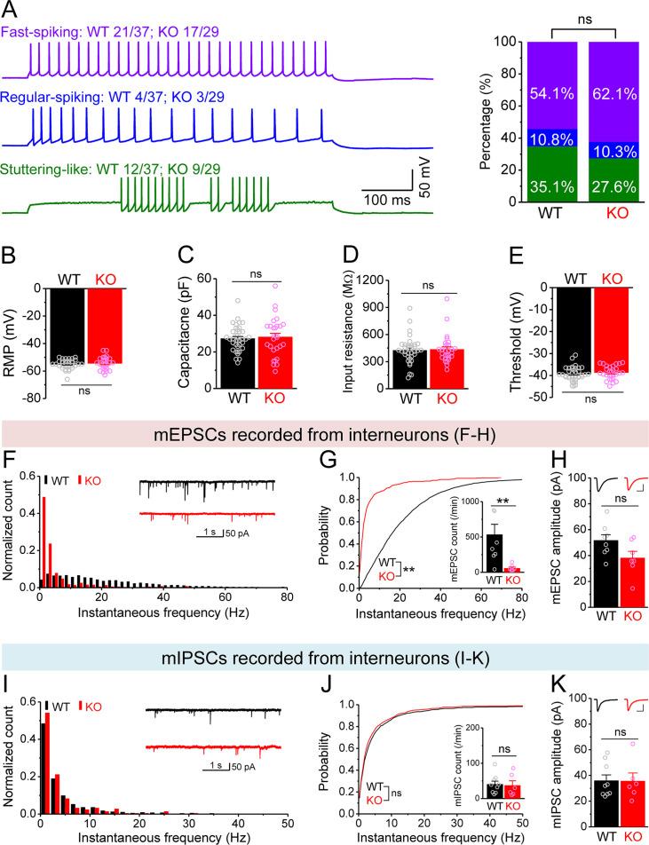 https://cdn.ncbi.nlm.nih.gov/pmc/blobs/dda7/10942577/cfa6734edc87/elife-92563-fig5-figsupp1.jpg