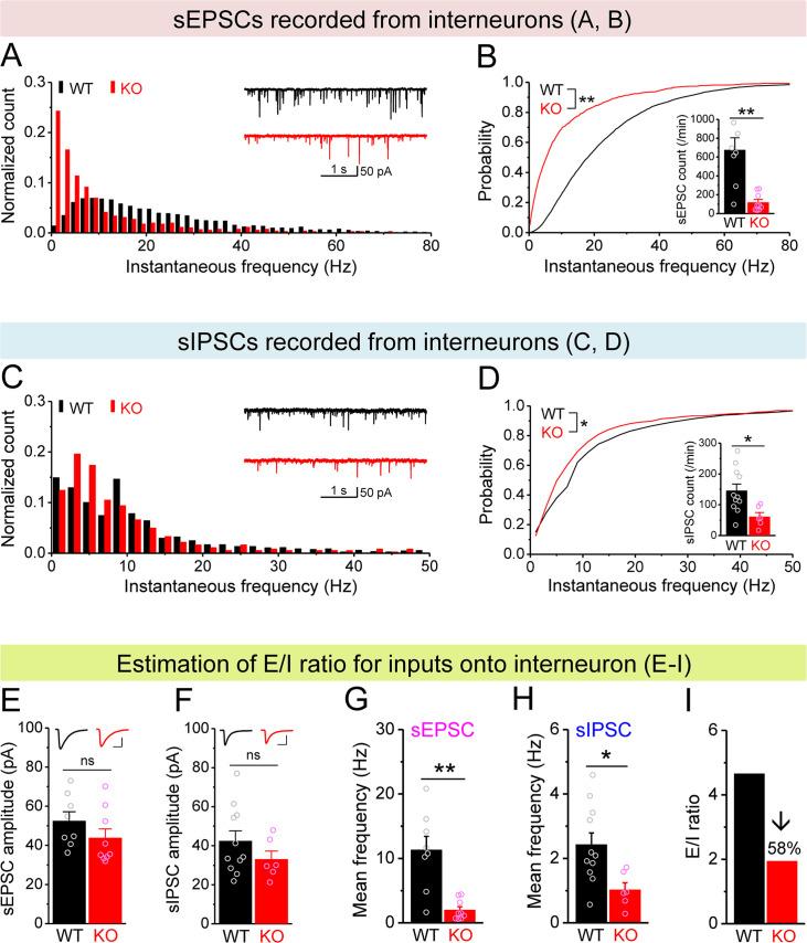 https://cdn.ncbi.nlm.nih.gov/pmc/blobs/dda7/10942577/d86aed0cfff2/elife-92563-fig5.jpg
