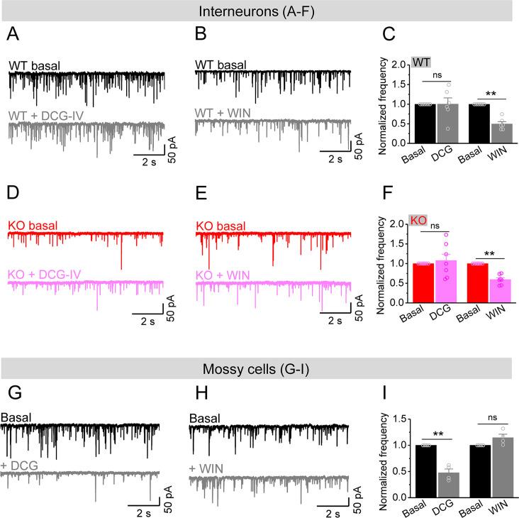 https://cdn.ncbi.nlm.nih.gov/pmc/blobs/dda7/10942577/fa170522d4de/elife-92563-fig6.jpg