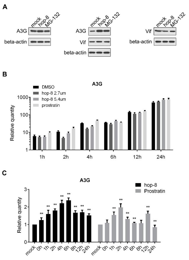 https://cdn.ncbi.nlm.nih.gov/pmc/blobs/dda7/6151696/78f4d4012322/molecules-22-01498-g005.jpg