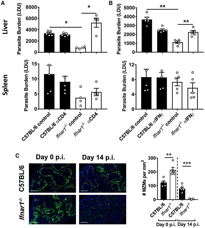 https://cdn.ncbi.nlm.nih.gov/pmc/blobs/dda7/7981274/1ec70242f9a4/nihms-1668495-f0006.jpg