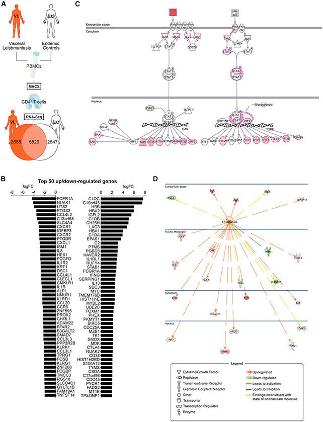 https://cdn.ncbi.nlm.nih.gov/pmc/blobs/dda7/7981274/4546afaff5e7/nihms-1668495-f0002.jpg