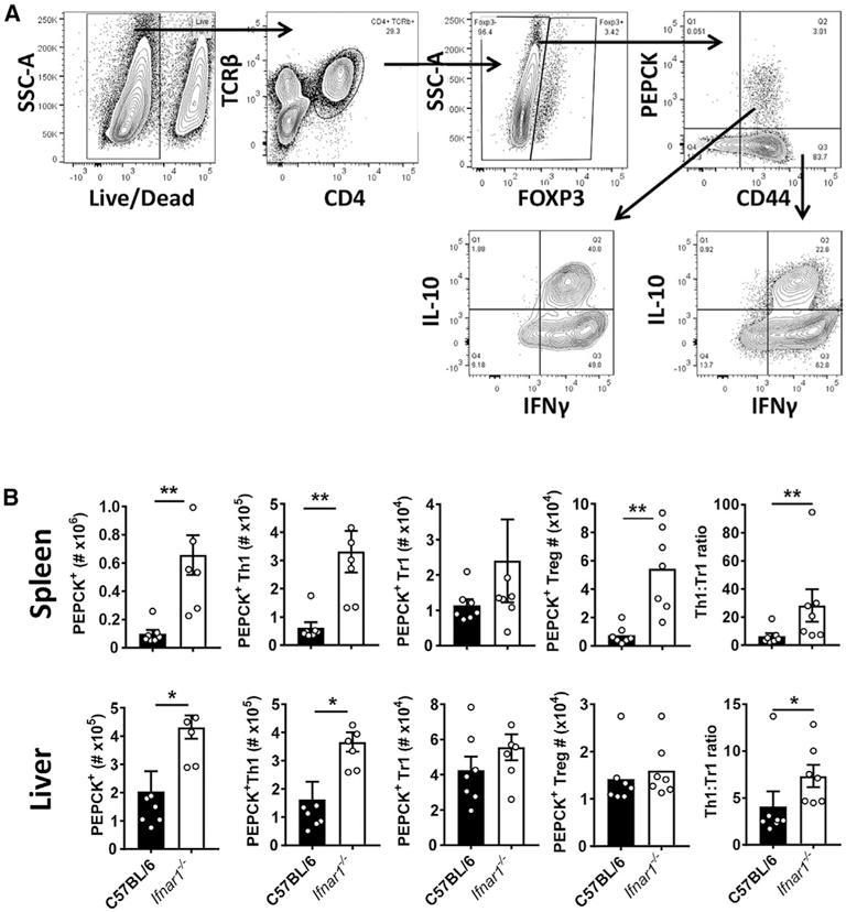 https://cdn.ncbi.nlm.nih.gov/pmc/blobs/dda7/7981274/761fc57365d2/nihms-1668495-f0005.jpg