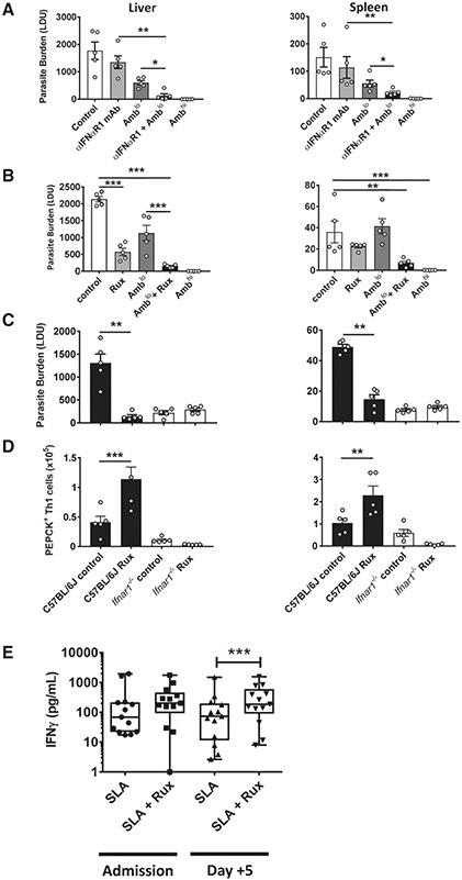 https://cdn.ncbi.nlm.nih.gov/pmc/blobs/dda7/7981274/940b60a60e99/nihms-1668495-f0008.jpg