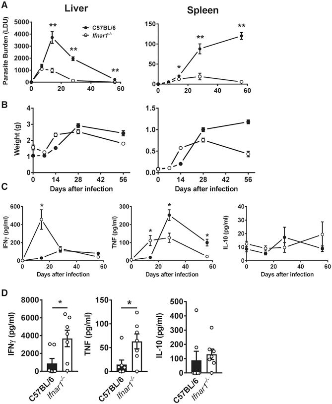 https://cdn.ncbi.nlm.nih.gov/pmc/blobs/dda7/7981274/cff7a3afad89/nihms-1668495-f0004.jpg