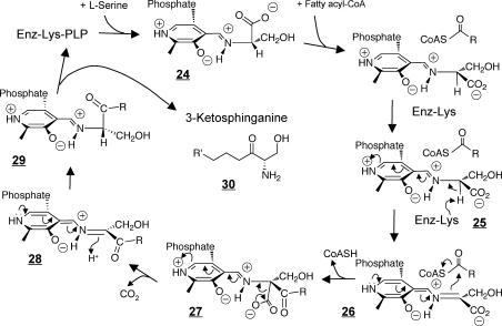 https://cdn.ncbi.nlm.nih.gov/pmc/blobs/dda8/3191729/61b8723d7d62/cr-2011-002917_0033.jpg