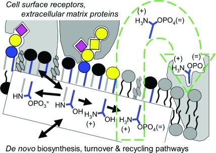 https://cdn.ncbi.nlm.nih.gov/pmc/blobs/dda8/3191729/9a2f24ac1e00/cr-2011-002917_0031.jpg