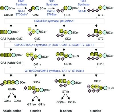 https://cdn.ncbi.nlm.nih.gov/pmc/blobs/dda8/3191729/bfe8e8c201e5/cr-2011-002917_0036.jpg