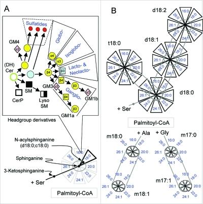 https://cdn.ncbi.nlm.nih.gov/pmc/blobs/dda8/3191729/da6afcd97501/cr-2011-002917_0037.jpg