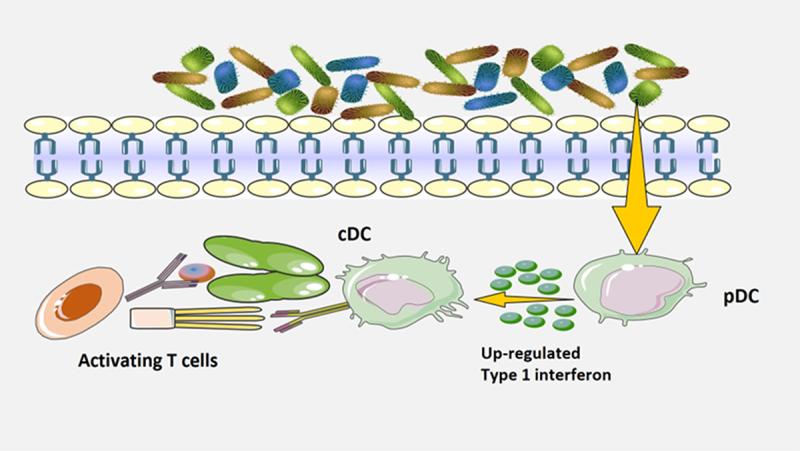https://cdn.ncbi.nlm.nih.gov/pmc/blobs/ddaa/10337507/28158e60a630/KGMI_A_2233146_F0005_OC.jpg
