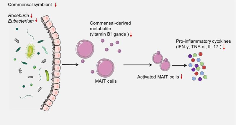 https://cdn.ncbi.nlm.nih.gov/pmc/blobs/ddaa/10337507/383aa66a6c19/KGMI_A_2233146_F0003_OC.jpg