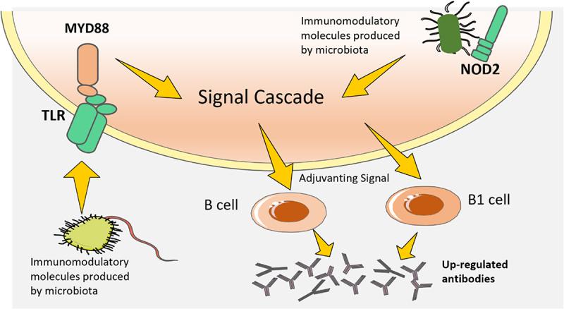 https://cdn.ncbi.nlm.nih.gov/pmc/blobs/ddaa/10337507/62b799b23ed2/KGMI_A_2233146_F0004_OC.jpg