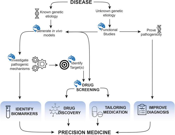 https://cdn.ncbi.nlm.nih.gov/pmc/blobs/ddab/9298522/c56b352bee5a/fnmol-15-944693-g003.jpg