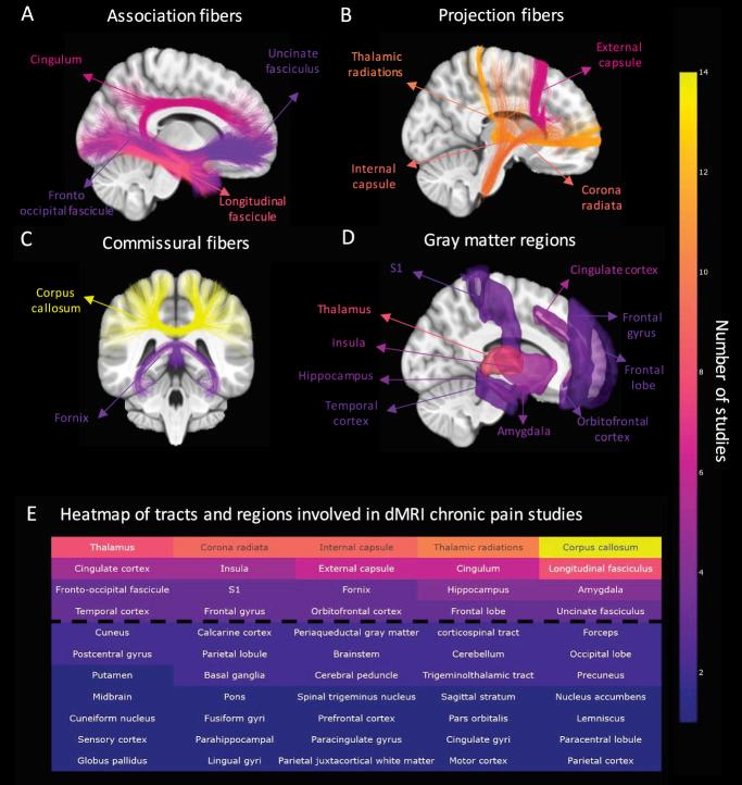 https://cdn.ncbi.nlm.nih.gov/pmc/blobs/ddac/11726505/5b2703208e79/jop-166-243-g004.jpg