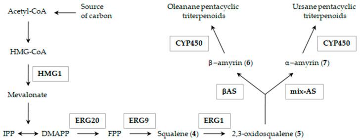 https://cdn.ncbi.nlm.nih.gov/pmc/blobs/ddac/7728323/63922aaaa53a/molecules-25-05526-sch001.jpg