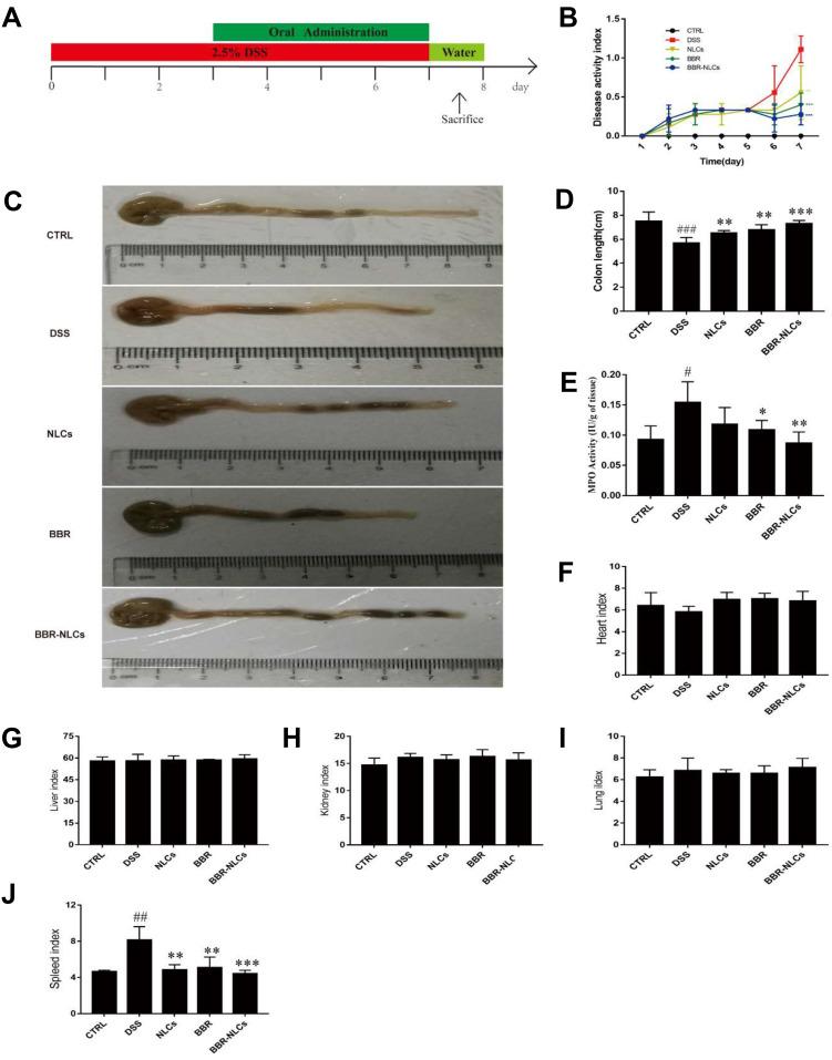 https://cdn.ncbi.nlm.nih.gov/pmc/blobs/ddae/7280064/a00129aadb88/IJN-15-3937-g0006.jpg