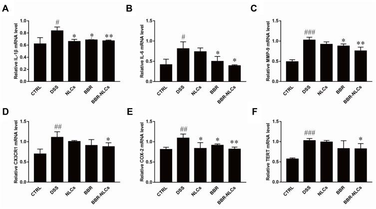 https://cdn.ncbi.nlm.nih.gov/pmc/blobs/ddae/7280064/c4df87ba08d2/IJN-15-3937-g0009.jpg