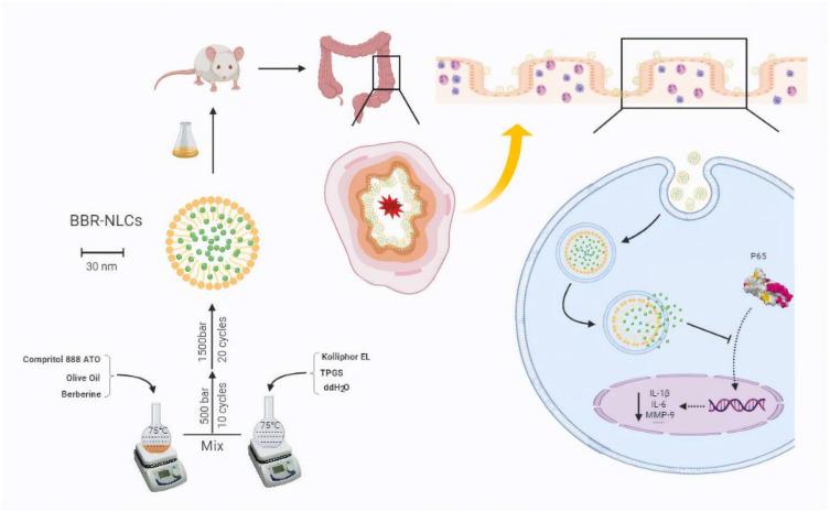https://cdn.ncbi.nlm.nih.gov/pmc/blobs/ddae/7280064/f12a3520a0be/IJN-15-3937-g0011.jpg