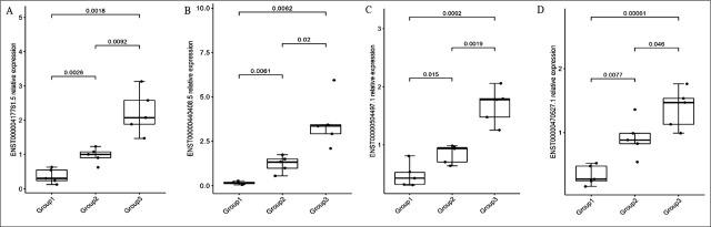 https://cdn.ncbi.nlm.nih.gov/pmc/blobs/ddb2/10413991/07ebb7a5c841/j_bjmg-2023-0011_fig_004.jpg