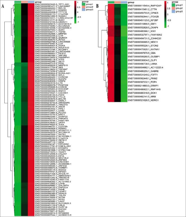 https://cdn.ncbi.nlm.nih.gov/pmc/blobs/ddb2/10413991/312245bf8b87/j_bjmg-2023-0011_fig_002.jpg