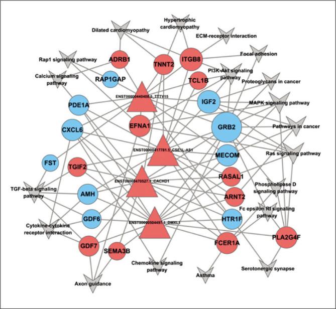 https://cdn.ncbi.nlm.nih.gov/pmc/blobs/ddb2/10413991/cda1c407b2a0/j_bjmg-2023-0011_fig_005.jpg