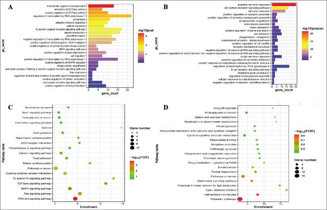 https://cdn.ncbi.nlm.nih.gov/pmc/blobs/ddb2/10413991/fef2a69b9079/j_bjmg-2023-0011_fig_003.jpg