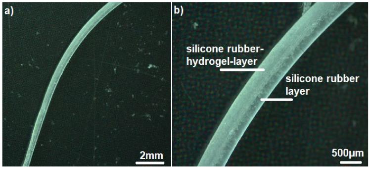 https://cdn.ncbi.nlm.nih.gov/pmc/blobs/ddb2/9103165/6002b9f3a446/polymers-14-01766-g010.jpg