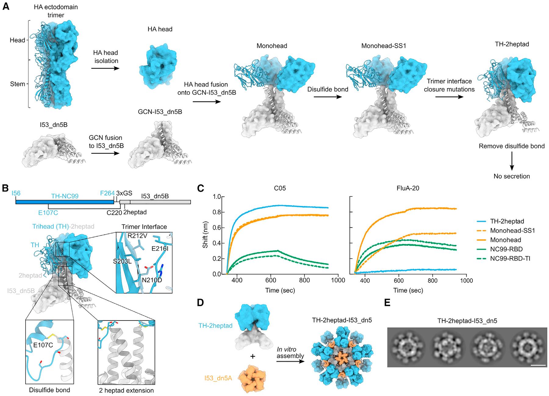 https://cdn.ncbi.nlm.nih.gov/pmc/blobs/ddb3/10801709/350afd90456e/nihms-1954796-f0002.jpg