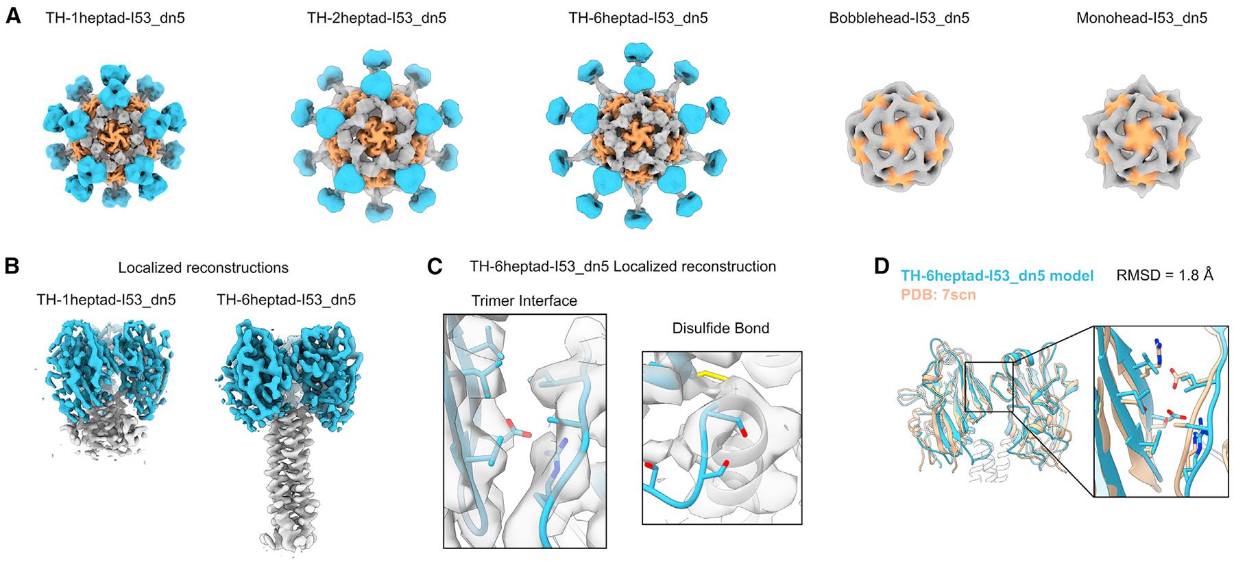 https://cdn.ncbi.nlm.nih.gov/pmc/blobs/ddb3/10801709/65b212fc87d7/nihms-1954796-f0004.jpg