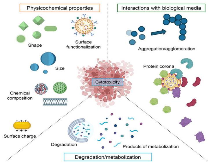 https://cdn.ncbi.nlm.nih.gov/pmc/blobs/ddb3/12294593/4a42887dc030/ijms-26-06687-g002.jpg