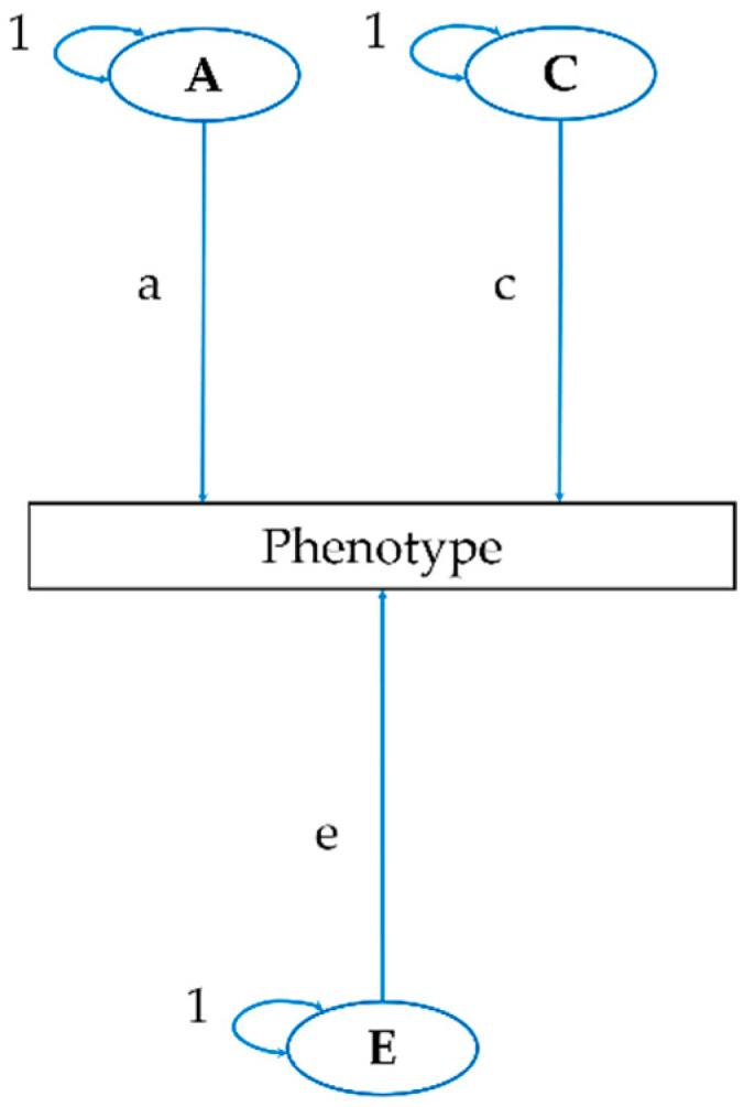 https://cdn.ncbi.nlm.nih.gov/pmc/blobs/ddb4/7662672/0beb7b9e0e75/ijerph-17-07810-g001.jpg