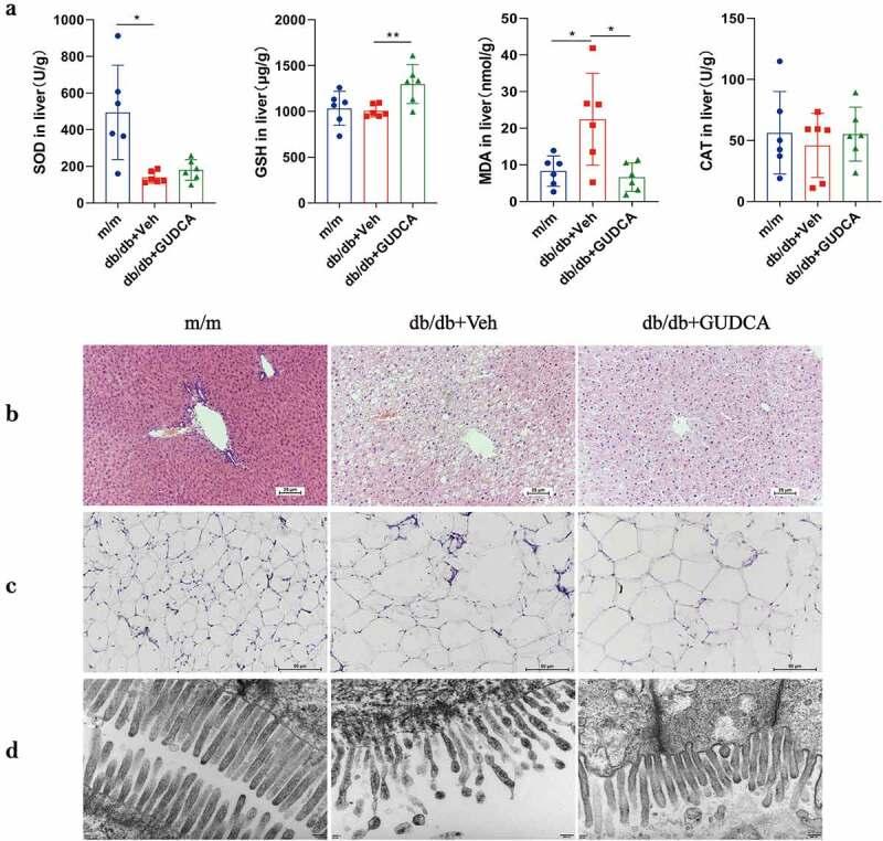 https://cdn.ncbi.nlm.nih.gov/pmc/blobs/ddb5/10054359/988cfb617a2a/KGMI_A_2192155_F0003_OC.jpg
