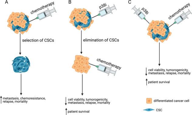 https://cdn.ncbi.nlm.nih.gov/pmc/blobs/ddb5/9166676/0b4c02a31beb/41388_2022_2329_Fig5_HTML.jpg