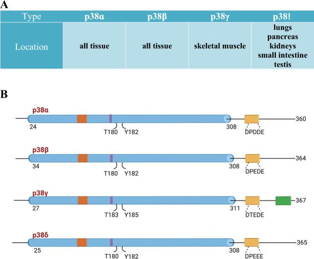 https://cdn.ncbi.nlm.nih.gov/pmc/blobs/ddb5/9166676/191ce9272cac/41388_2022_2329_Fig2_HTML.jpg