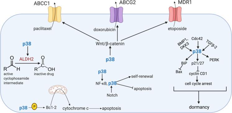 https://cdn.ncbi.nlm.nih.gov/pmc/blobs/ddb5/9166676/26fa361160b0/41388_2022_2329_Fig4_HTML.jpg