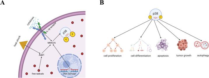 https://cdn.ncbi.nlm.nih.gov/pmc/blobs/ddb5/9166676/a689831f7161/41388_2022_2329_Fig1_HTML.jpg