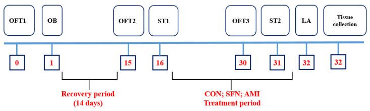 https://cdn.ncbi.nlm.nih.gov/pmc/blobs/ddb7/11206991/84c9f81488a6/pharmaceuticals-17-00762-g006.jpg