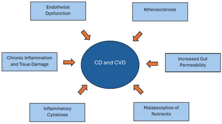 https://cdn.ncbi.nlm.nih.gov/pmc/blobs/ddbb/11763837/268d8006fabb/diagnostics-15-00187-g003.jpg