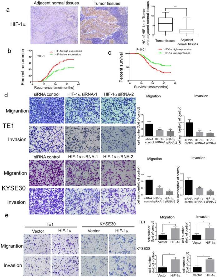 https://cdn.ncbi.nlm.nih.gov/pmc/blobs/ddbb/6930417/a187dcdad7c7/jcav11p0229g001.jpg
