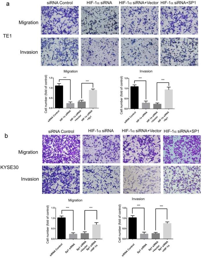 https://cdn.ncbi.nlm.nih.gov/pmc/blobs/ddbb/6930417/a48fb871b34b/jcav11p0229g002.jpg